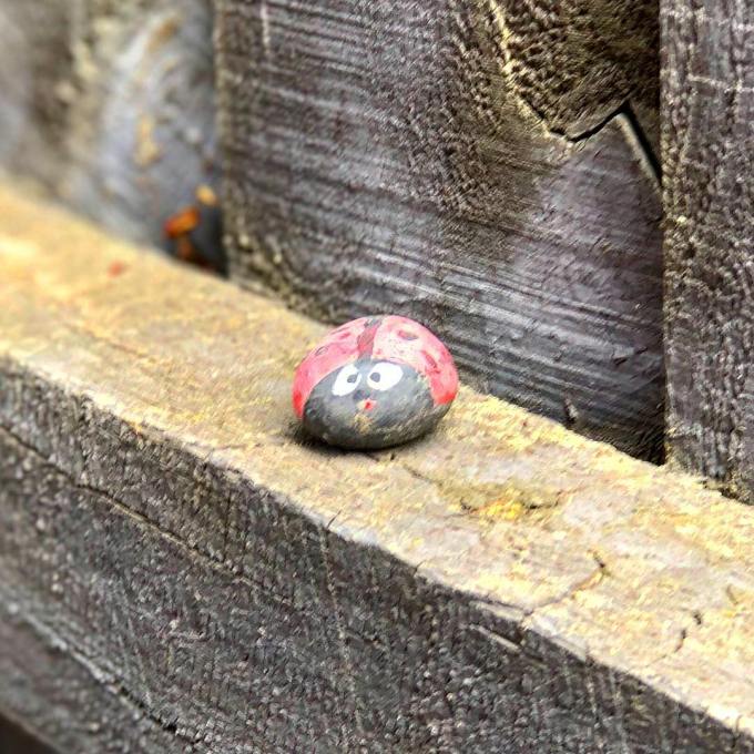 Stone painted like a ladybug