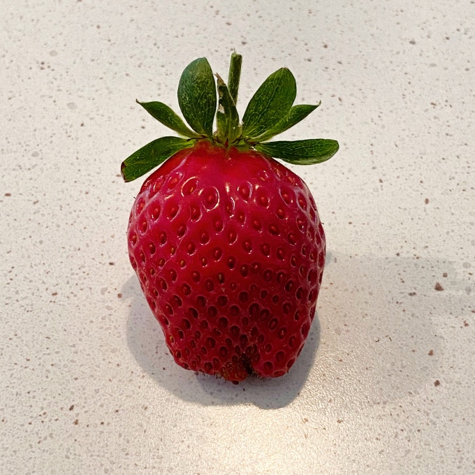 Fresh red strawberry on a speckled countertop